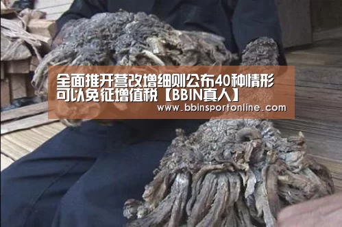 全面推开营改增细则公布40种情形可以免征增值税【BBIN真人】(图2) BBIN电竞
