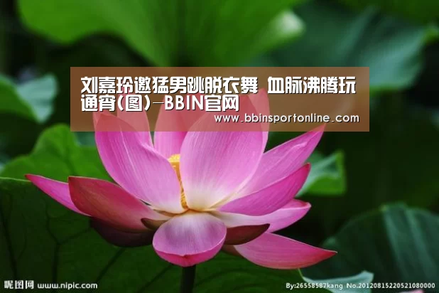 BBIN体育