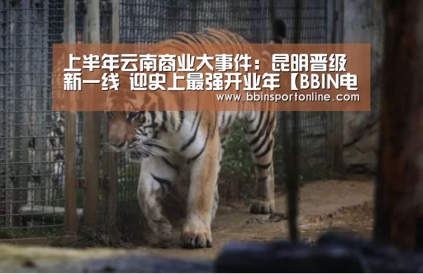 上半年云南商业大事件:昆明晋级新一线 迎史上最强开业年【BBIN电竞】(图3) BBIN体育