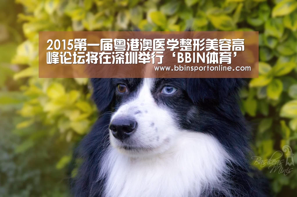 2015第一届粤港澳医学整形美容高峰论坛将在深圳举行‘BBIN体育’(图2) BBIN电竞