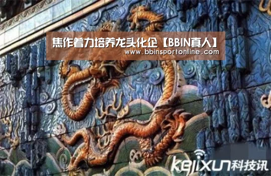 焦作着力培养龙头化企【BBIN真人】(图2) BBIN官网