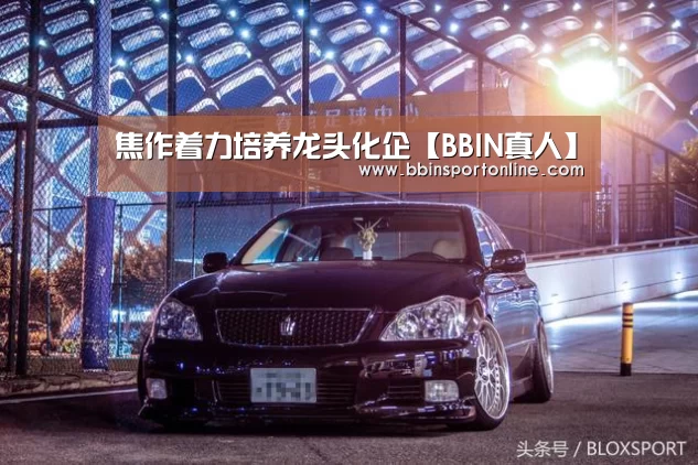 焦作着力培养龙头化企【BBIN真人】(图3) BBIN电竞