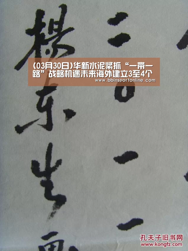 (03月30日)华新水泥紧抓“一带一路”战略机遇未来海外建立3至4个项目|BBIN真人(图3) BBIN电竞